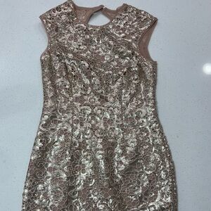 Sleeveless Lace Overlay Mini Dress in Blush with Gold Accents